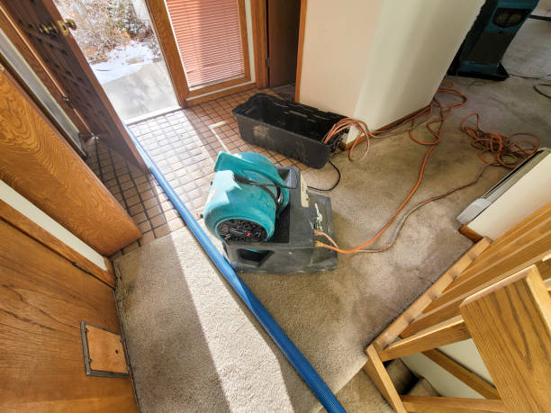 Water Damage Insurance Claim Assistance