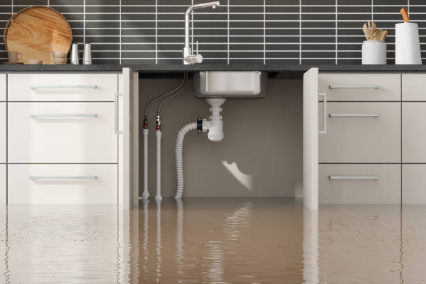 Trusted Water Damage Restoration in Narberth, PA | Fast, Reliable, and Ready to Assist You